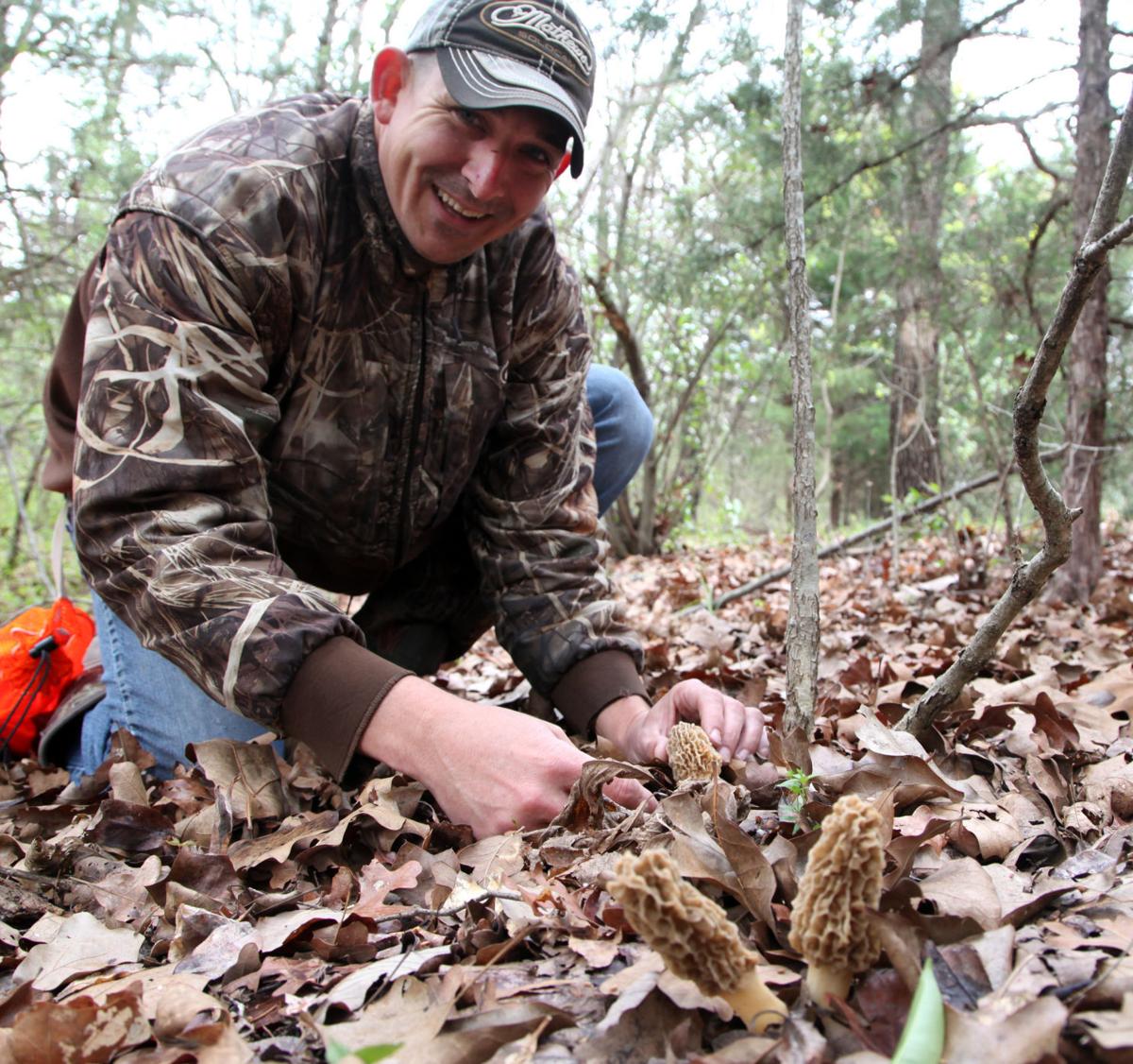 Kelly Bostian The story of the morel is to keep your eyes peeled