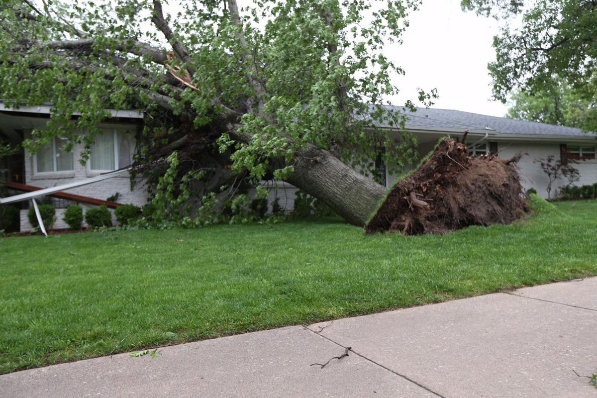 Best Investment Advisory Services Midtown Tree Service Tulsa