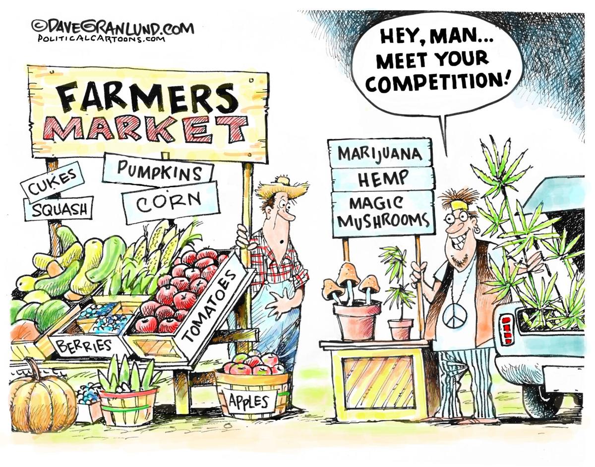 Cartoon: Farmers market competition