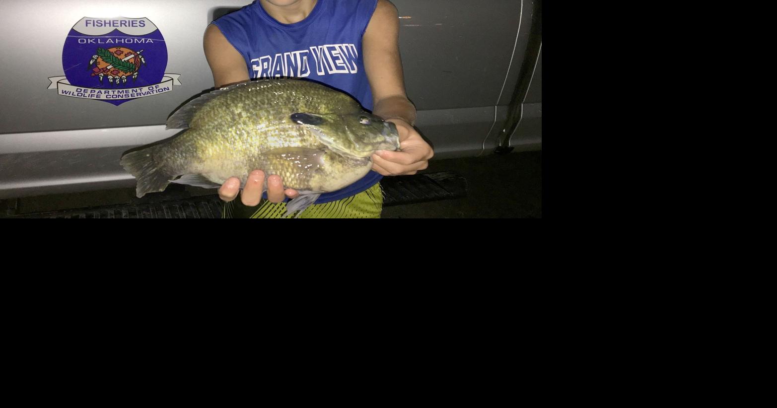 Young angler pulls giant bluegill from tiny Tahlequah golf course pond