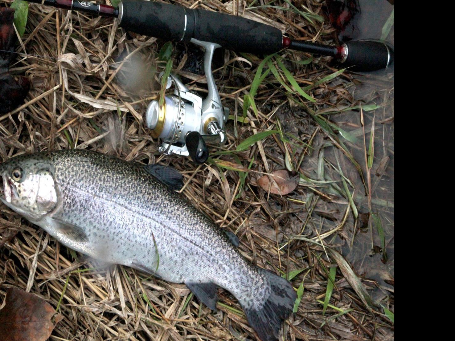 Oklahoma Trout Stocking Schedule 2022 Trout Stocking To Begin Nov. 1 At Six Seasonal Fisheries Statewide | Sports  | Tulsaworld.com