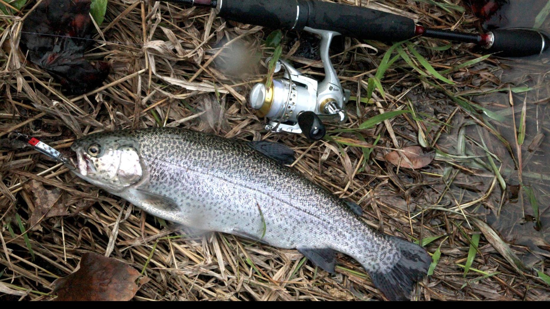 Oklahoma Trout Stocking Schedule 2022