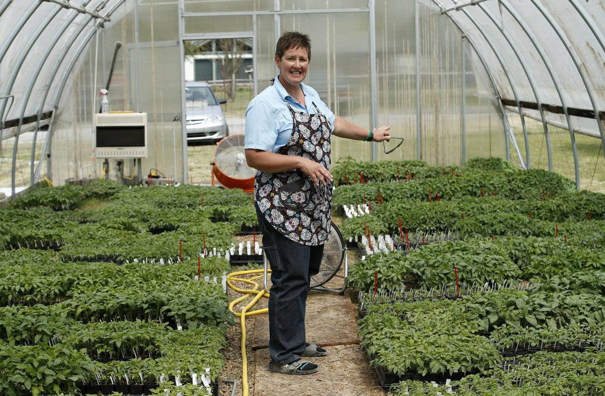The Tomato Man's Daughter to plant roots at new location next year Home & Garden
