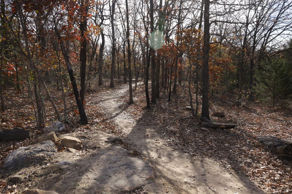 Lubell Park Mountain Bike Trail