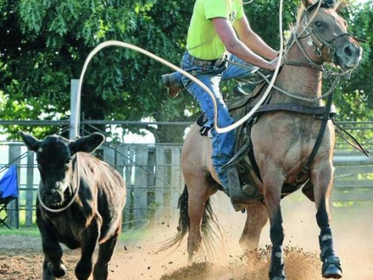 Team Rodeo Local News Tulsaworld Com