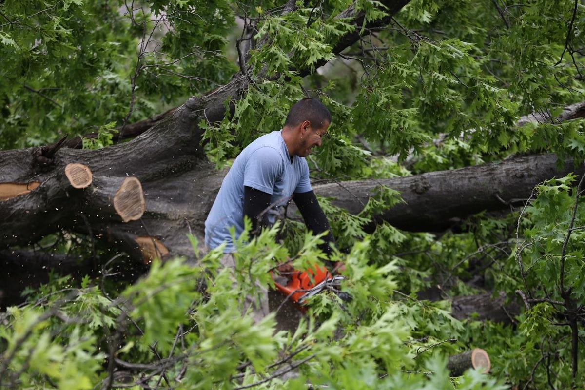 Best Investment Advisory Services Midtown Tree Service Tulsa