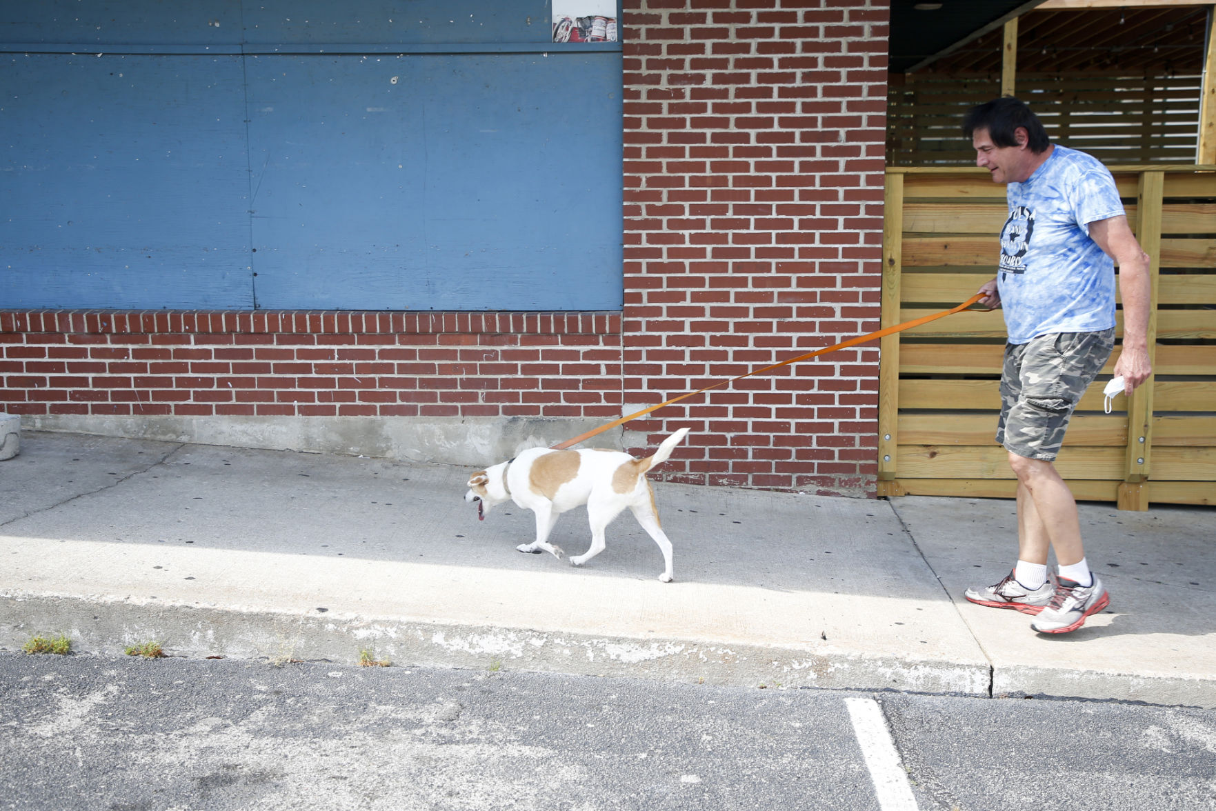 cinnamon dog walking