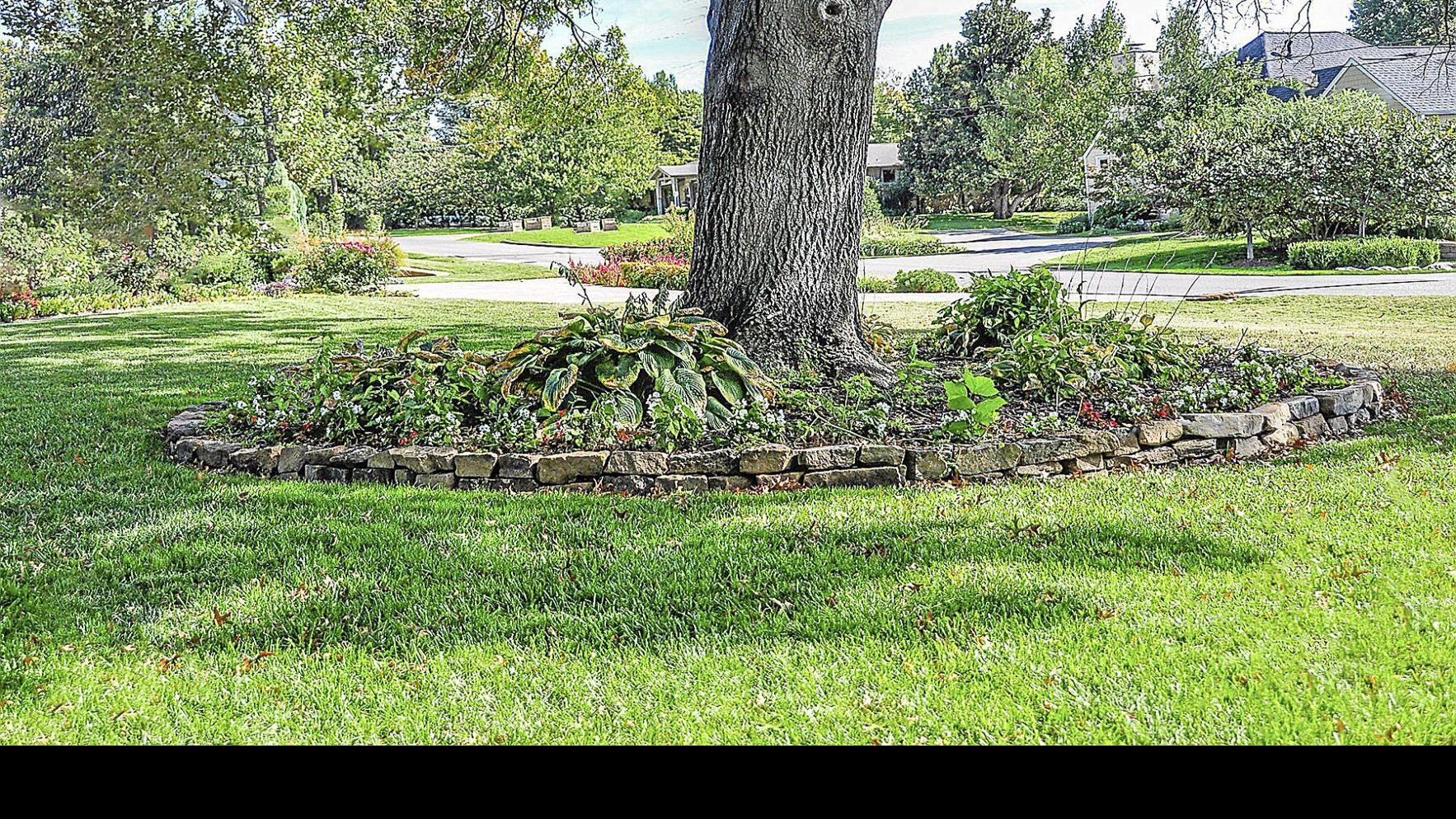 Master Gardener Putting Flower Beds Under Trees Can Hurt The Tree Home Garden Tulsaworld Com