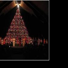 First Baptist Living Christmas Tree 2022 Living Tree | Archive | Tulsaworld.com