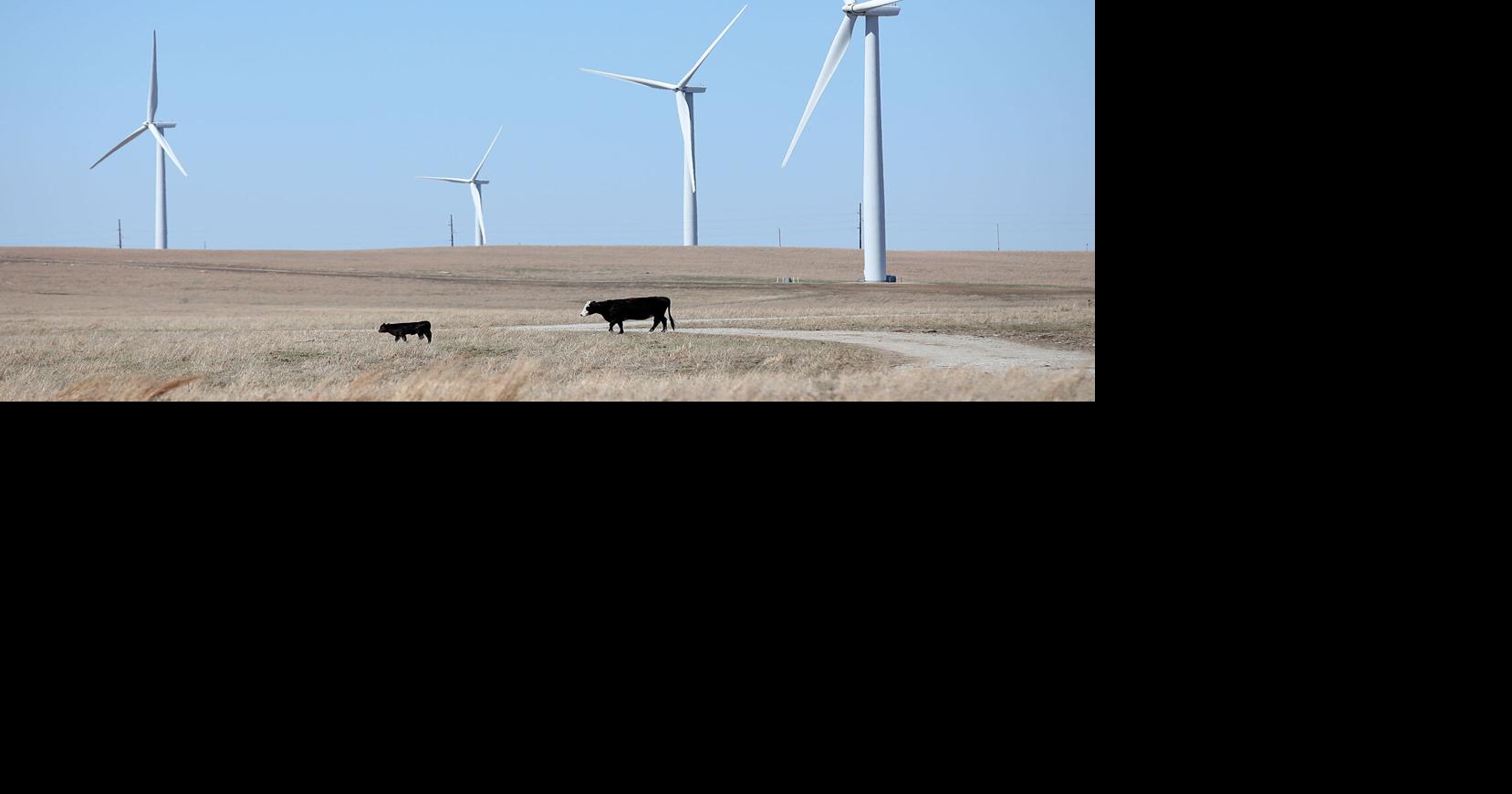 Column Proposed reconciliation bill would raise electricity bills and