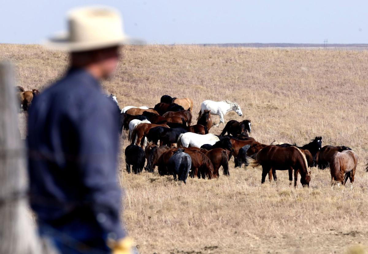 Drummond ranch