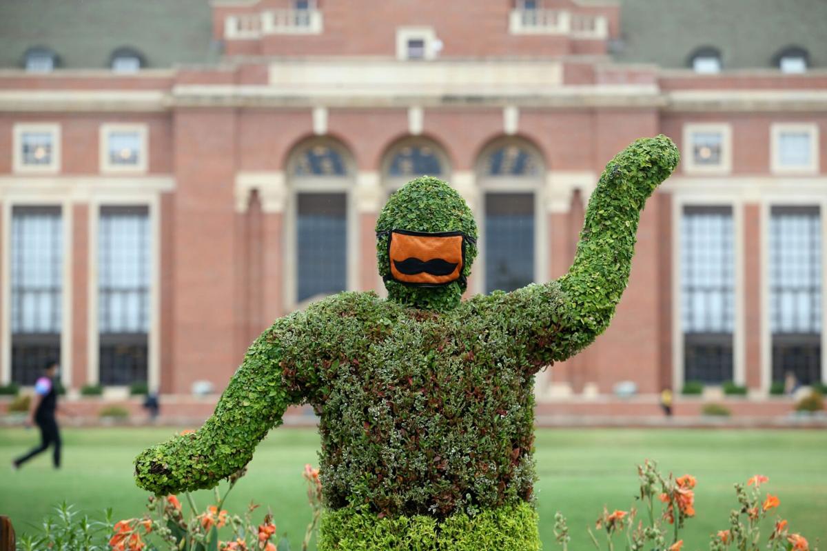 Covid 19 Cases At Osu Nearly Double In Second Week Of Classes State And Regional News Tulsaworld Com Covid 19 Cases At Osu Nearly Double In Second Week Of Classes State And Regional News Tulsaworld Com