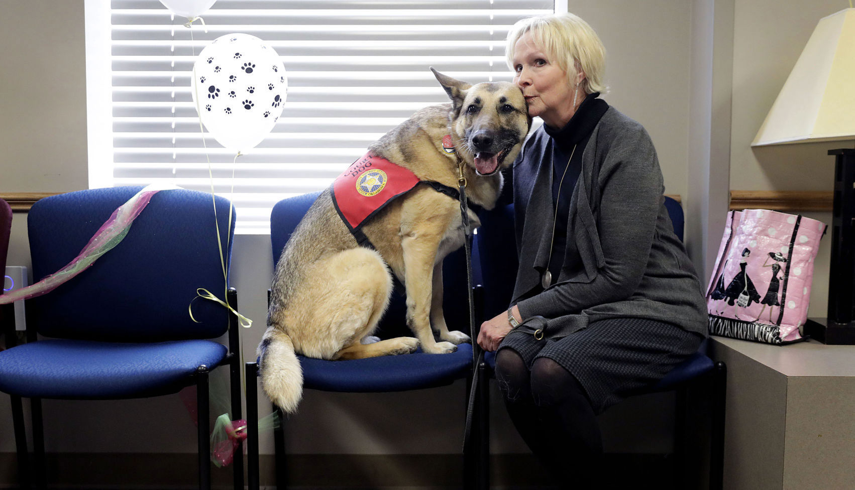 how old is five years in dog years