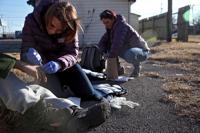 Pictures of the Year