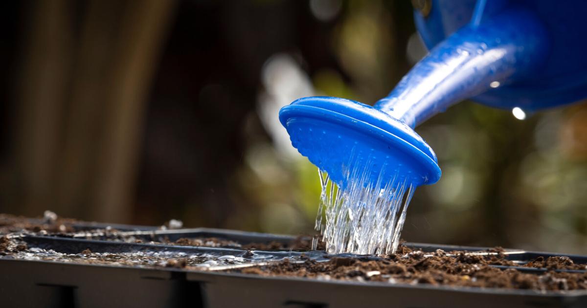 Digging in to organic gardening