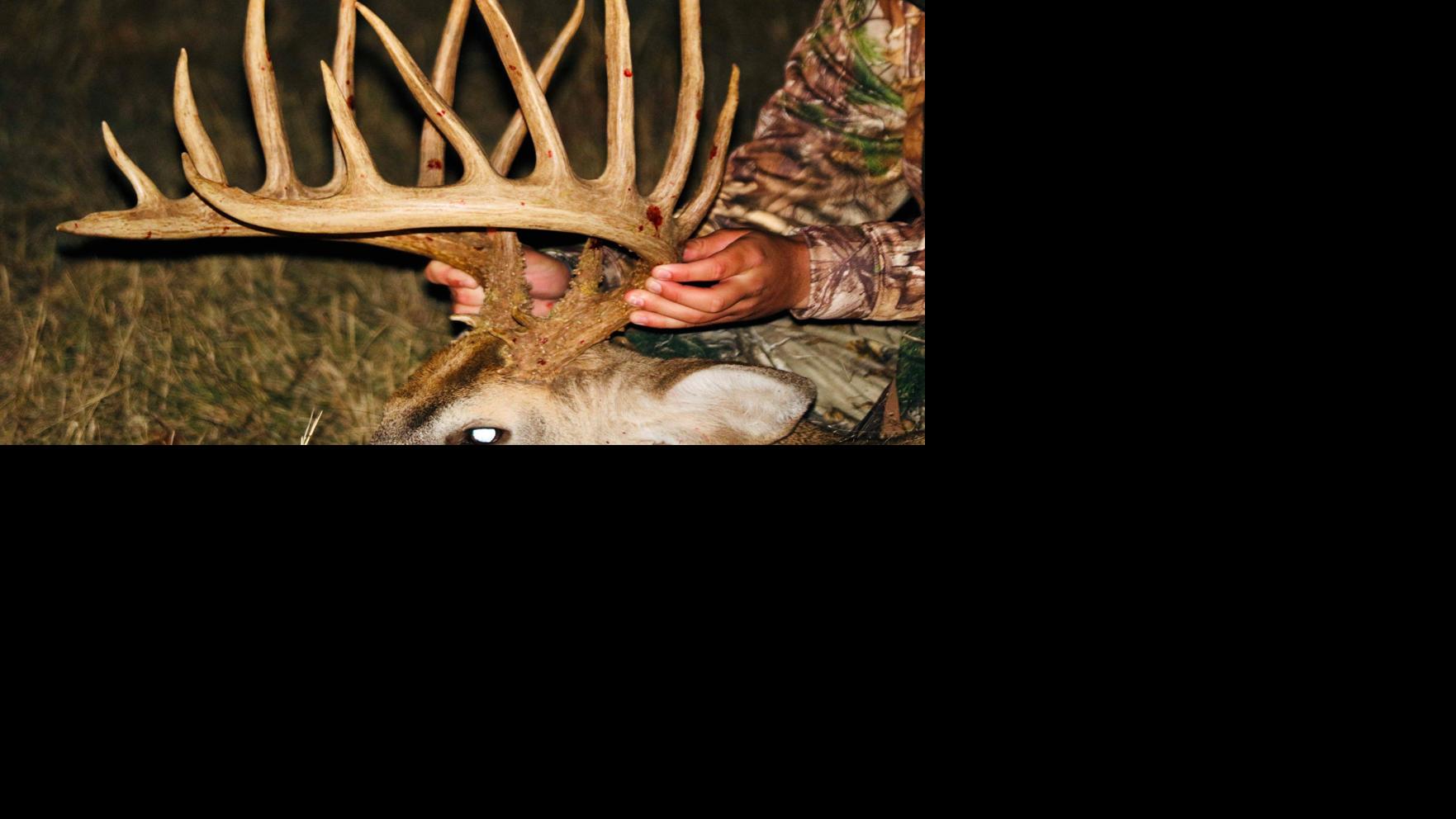 Morrison teen arrows possible new staterecord archery typical
