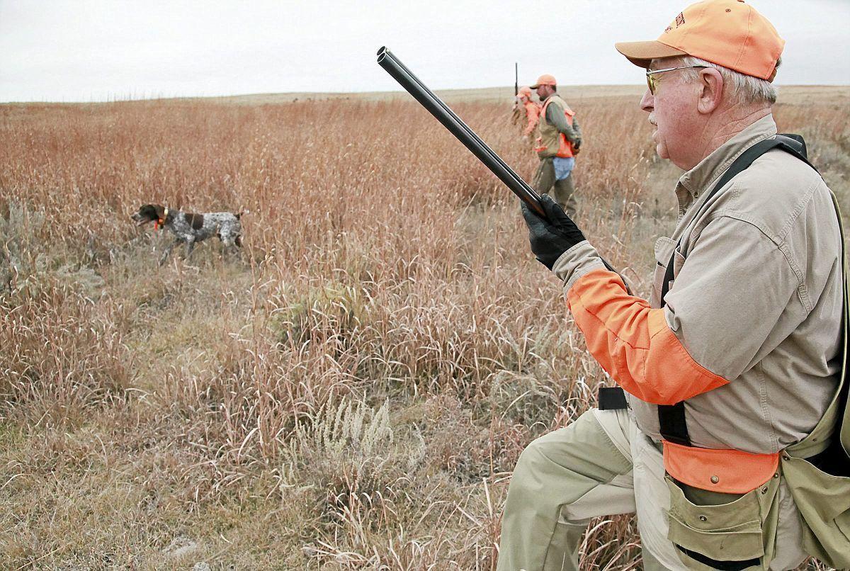 quail hunting pants