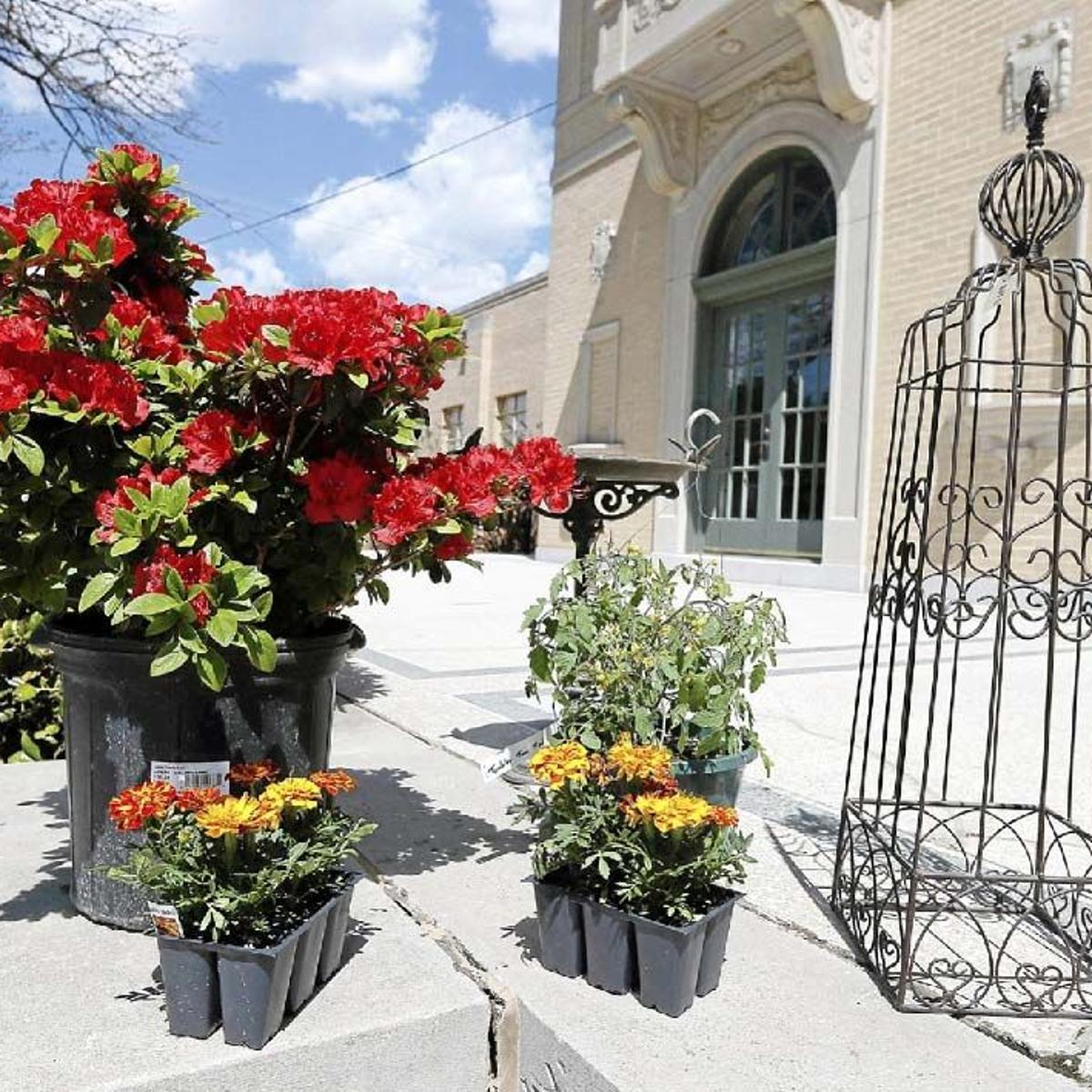 Evening Of Wine Roses Set At Tulsa Garden Center Tulsaworld Com