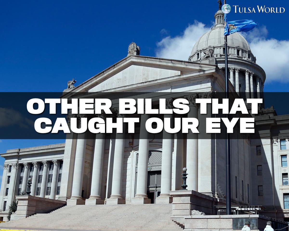 Gallery Simple explainer of proposed Oklahoma laws shows where