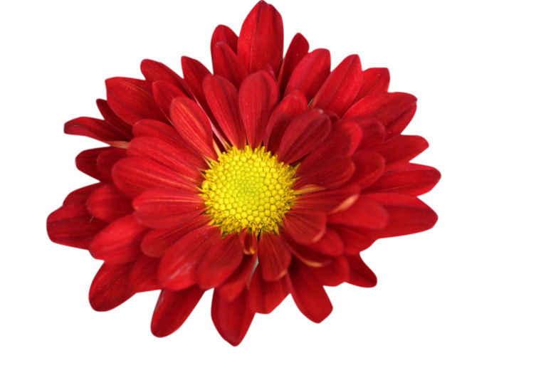 What are you: Kim Jones, deputy director and curator of Tulsa Air and