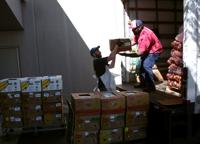 Pictures of the Year