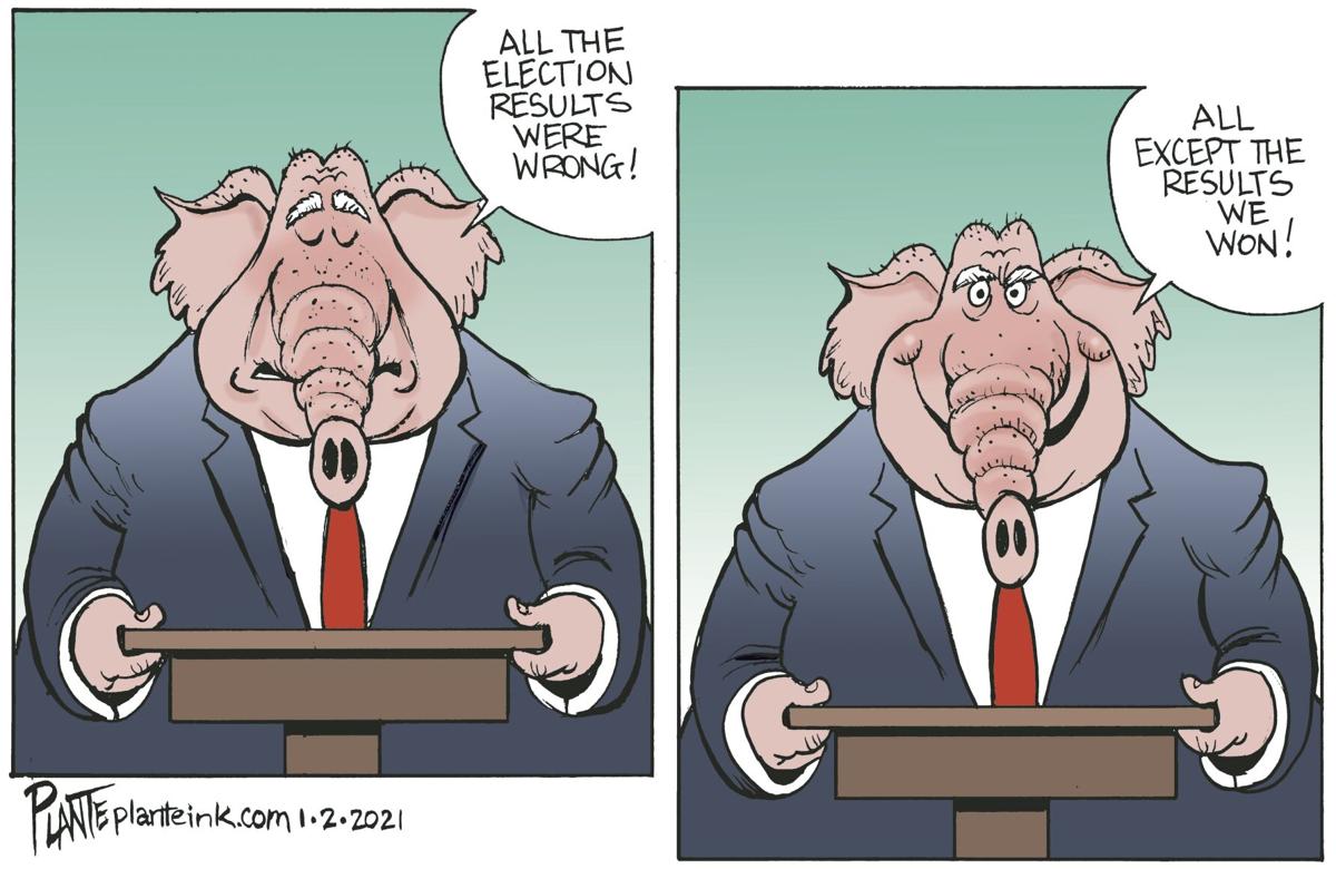 Syndicated Cartoon: Bogus Election? by Bruce Plante