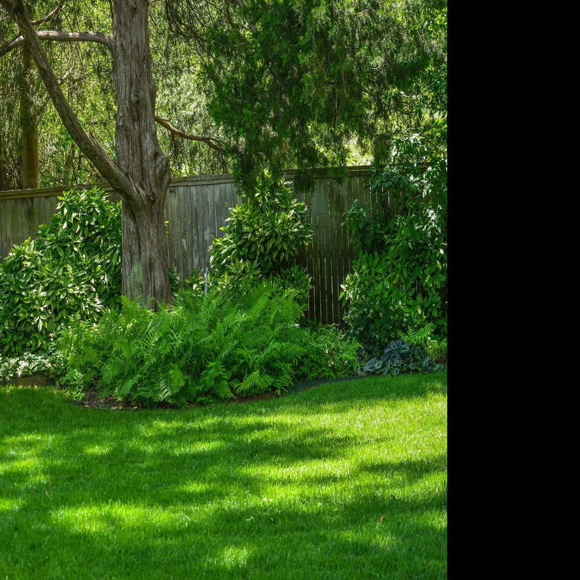 Master Gardener Options For Shade Plants Are Plentiful Home Garden Tulsaworld Com