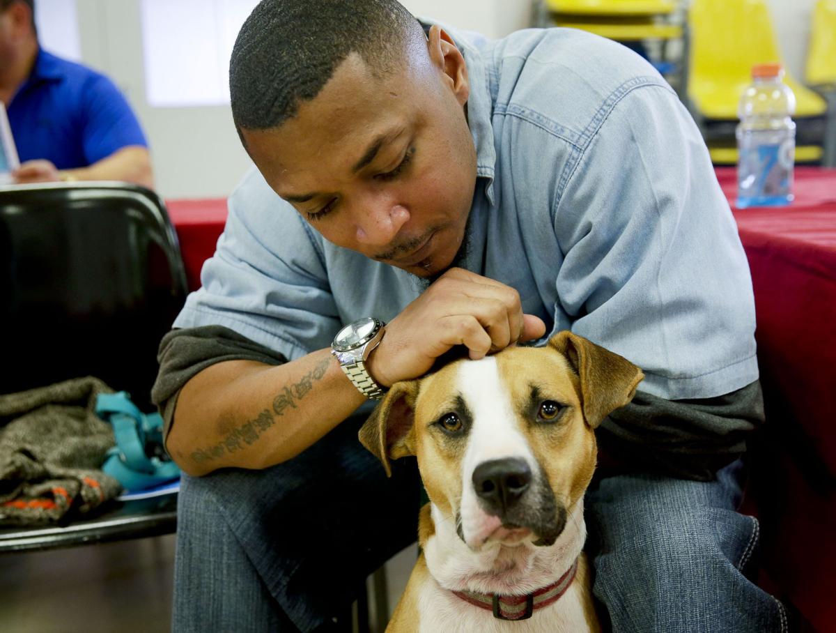 Prisoners Help Dogs On Their Way To New Freedom New Lives Local News Tulsaworld Com