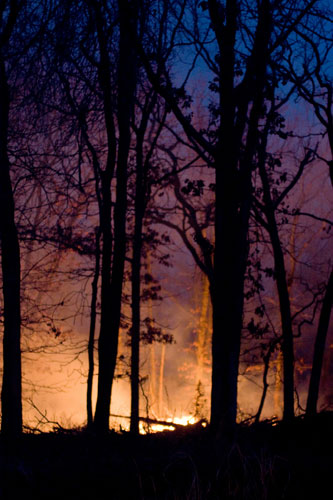 020222-ssl-wildfires-p1