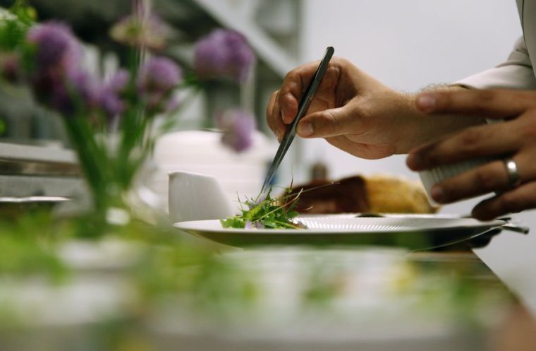 Foraging offers foodies an adventure, brings chefs closer to their ...