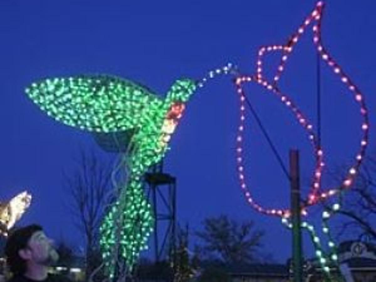 Tulsa Christmas 2021 Zoo Zoolightful Delayed This Year Archive Tulsaworld Com Tulsa Christmas 2021 Zoo Zoolightful Delayed This Year Archive Tulsaworld Com