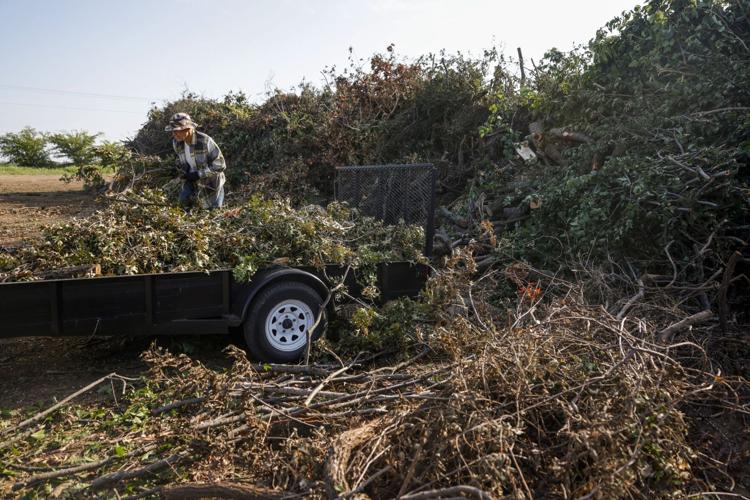 Tulsa nearing end of stormrelated greenwaste pickups