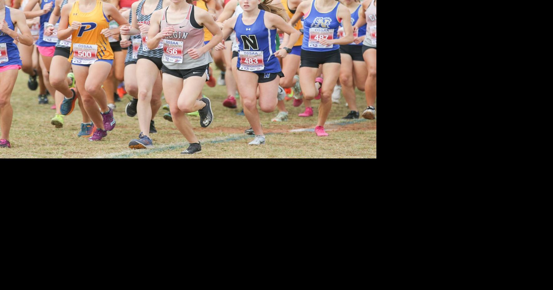 Results from Saturday's state cross country meets