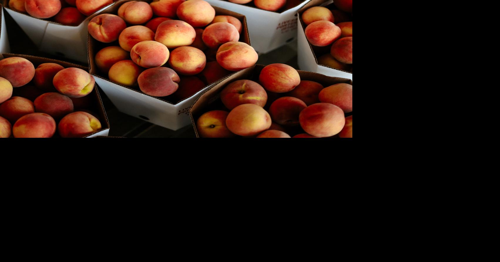 Three-day Porter Peach Festival kicks off tomorrow evening
