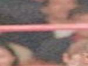 Mills Lane Judgment In The Ring Archive Tulsaworld Com Moments after referee mills lane stopped the fight & dqed mike tyson for biting off a piece of evander holyfield's ear, lane. mills lane judgment in the ring