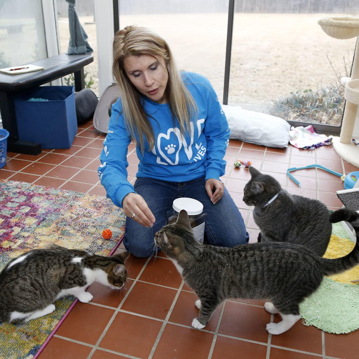City Council Updates Animal Code To Allow More Dogs Increase Fines Politics Tulsaworld Com