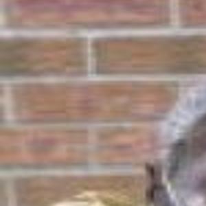 Emmy Award Winning Actress Beah Richards Dies At 74 Archive Tulsaworld Com