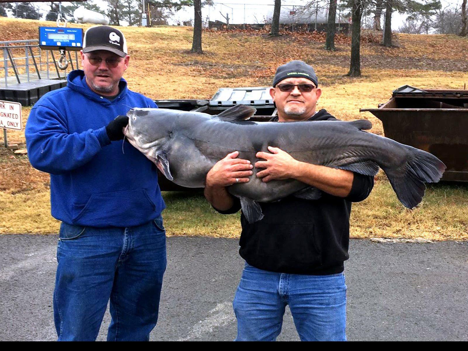 Wagoner Man Boats Releases 82 7 Pound Fort Gibson Lake Record Blue Catfish Sports News Tulsaworld Com