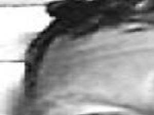 Johnson Dr Gary Archive Tulsaworld Com