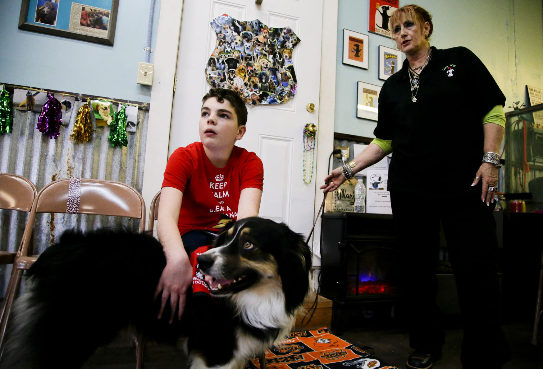 therapy dog trainers near me