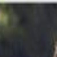 Review August Rush Archive Tulsaworld Com