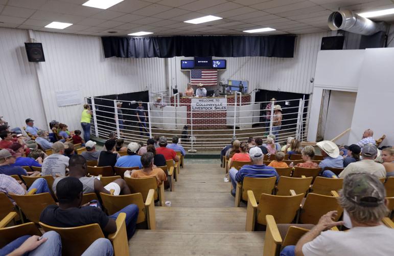 Live from livestock barn Leroy Van Dyke to christen Collinsville music