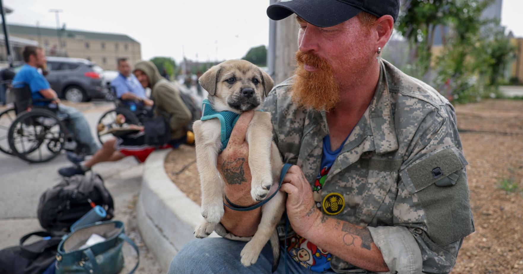 Tulsa adding animal shelter to help homeless stay with pets - Vimarsana News