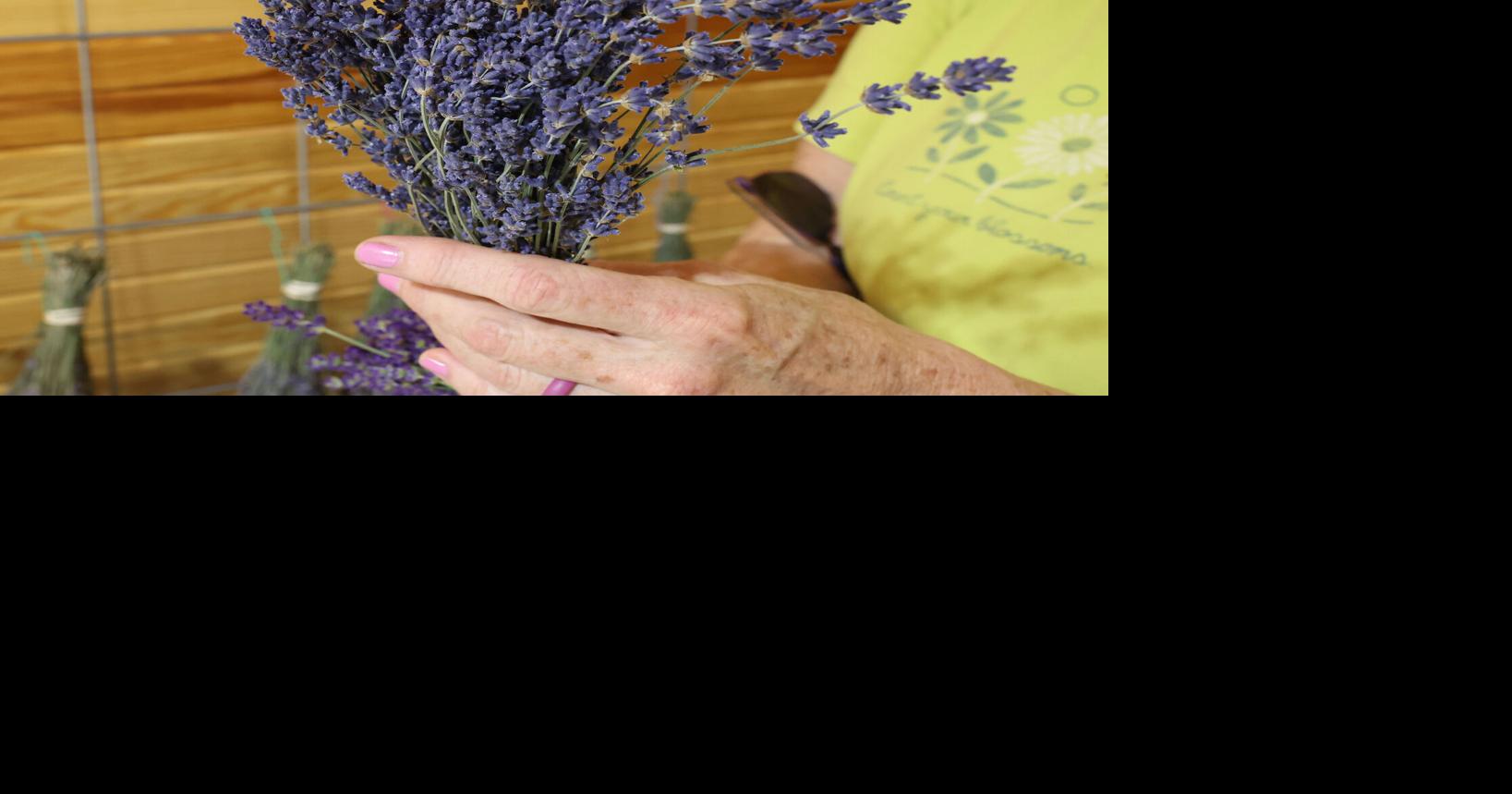 Honey Creek Farm
