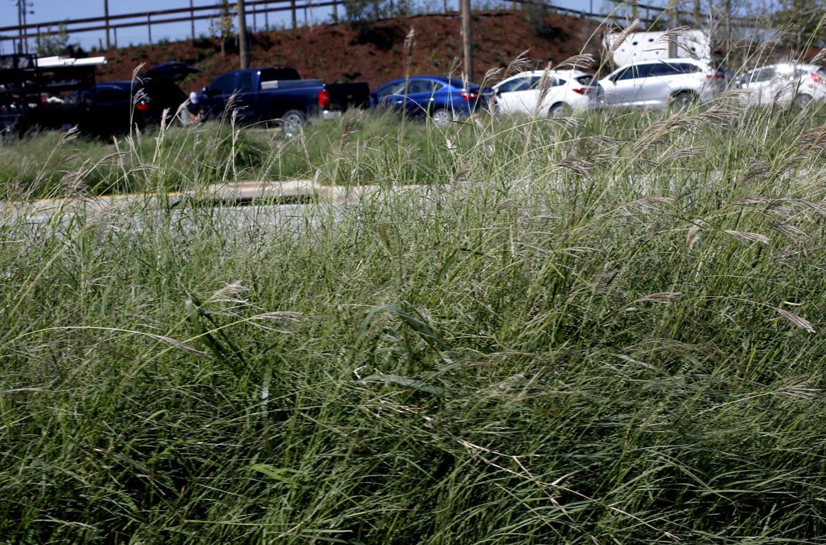 Michael Overall Gathering Place S Tall Native Grass Reflects Oklahoma But We Don T Always Recognize Ourselves Local News Tulsaworld Com