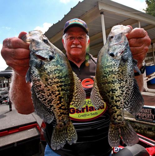 white Crappie on a jig and bobber - Crappie fishing 