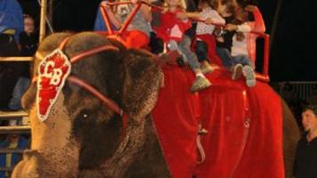 Circus Performances Planned On Saturday News Tulsaworld Com Circus Performances Planned On Saturday News Tulsaworld Com