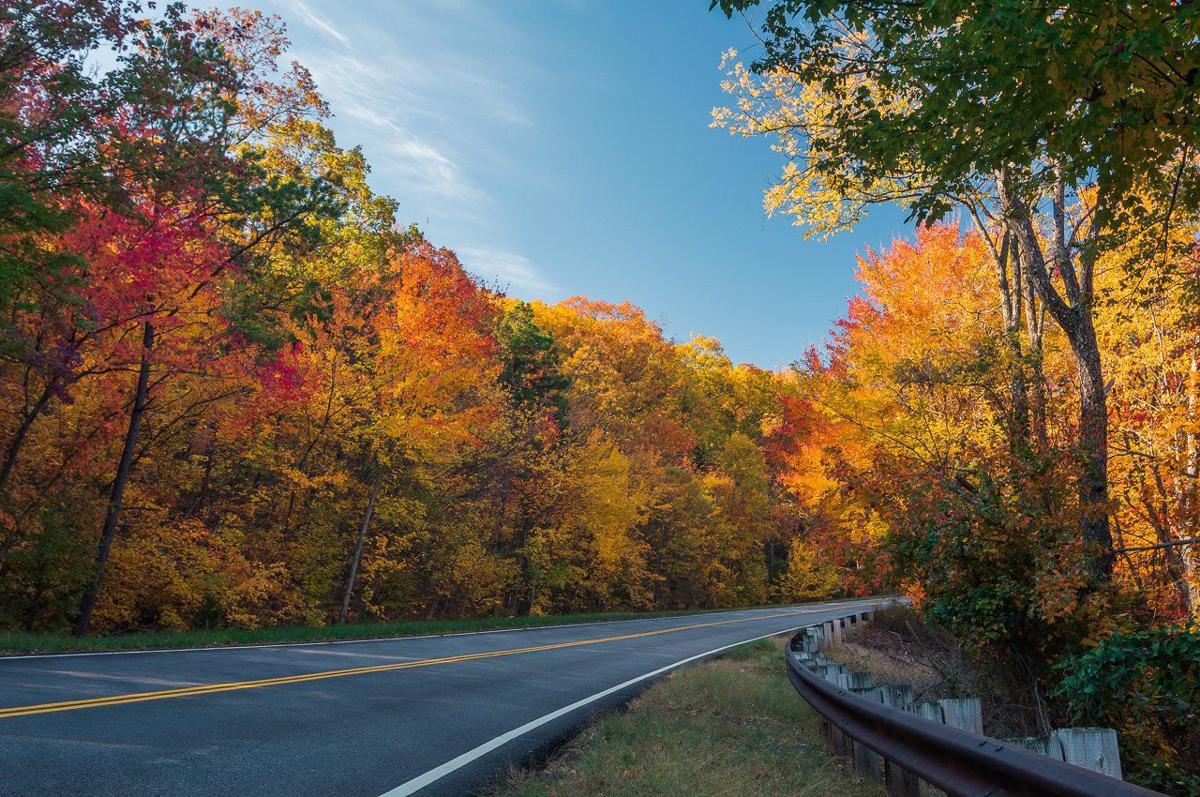 Taking a fall drive along the Talimena National Scenic Byway