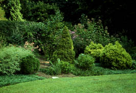 Landscape: Mixed shrubs best border to hide fence | Archives