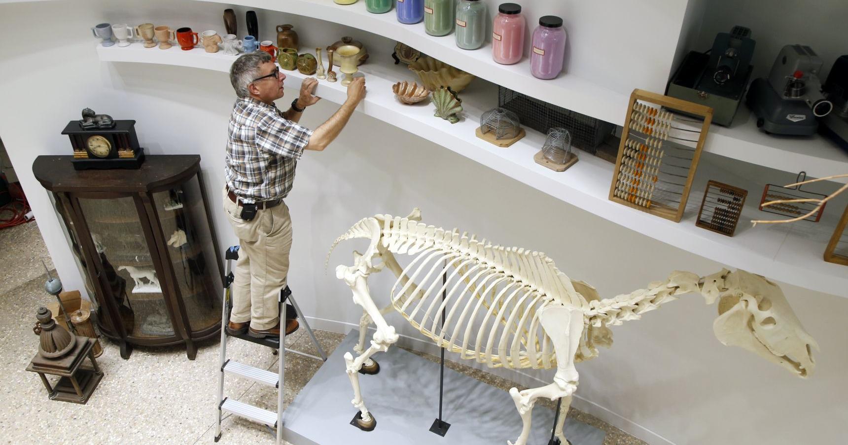 Artist Mark Dion to update Gathering Place's Cabinet of Wonder - Vimarsana News
